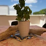 Zizzi's House * 托雷拉皮罗