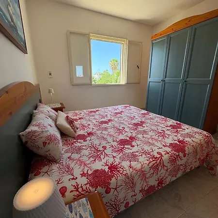 Zizzi's House טורה לפילו