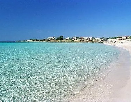 Appartement Zizzi's House *