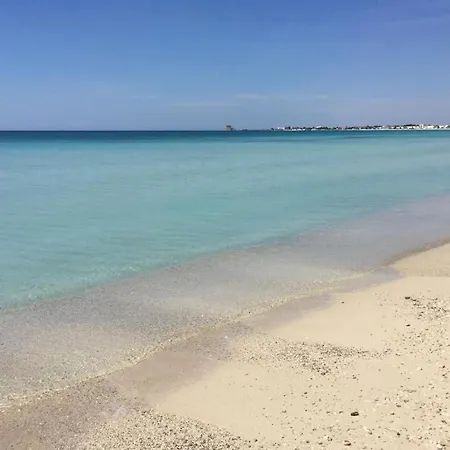 Zizzi's House Appartement *