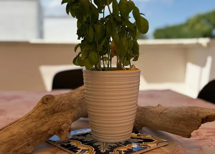 Zizzi's House * 토레 라필로