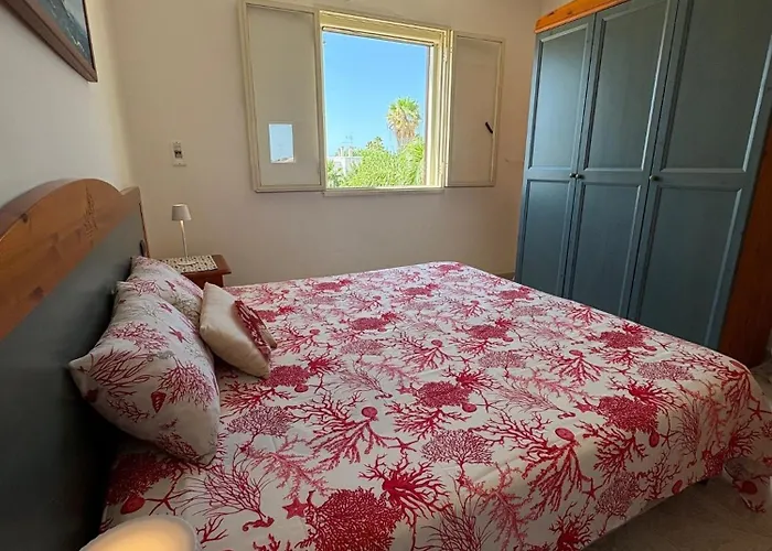 Zizzi's House 托雷拉皮罗